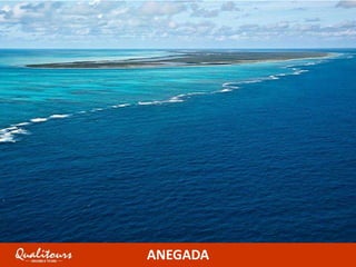ANEGADA
 
