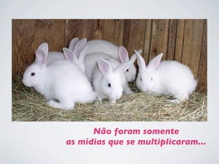 Não foram somente
as mídias que se multiplicaram...
 