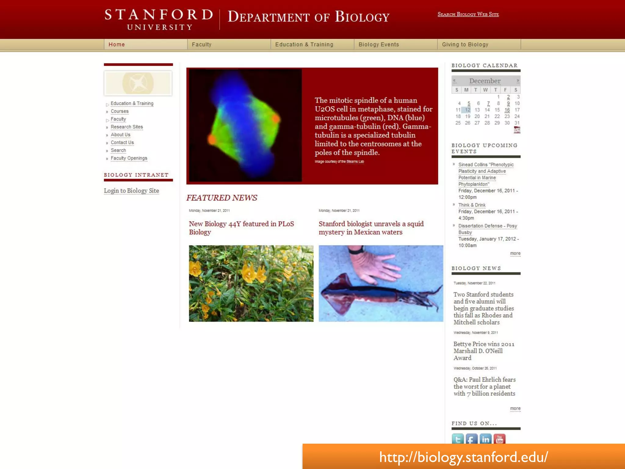 http://biology.stanford.edu/
 
