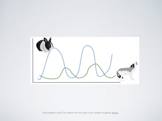 Prey-predator cycles.The medium for the waves is the number of species. Source.
 