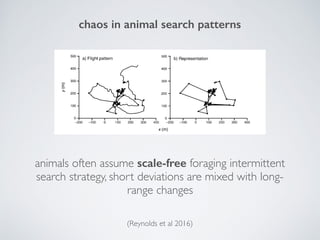 chaos in animal search patterns
(Reynolds et al 2016)
animals often assume scale-free foraging intermittent
search strategy, short deviations are mixed with long-
range changes
 