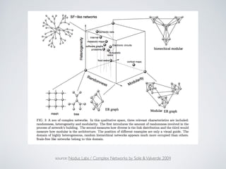 source: Nodus Labs / Complex Networks by Sole &Valverde 2004
 