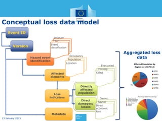 Current status and Best Practices for Disaster Loss Data recording in ...