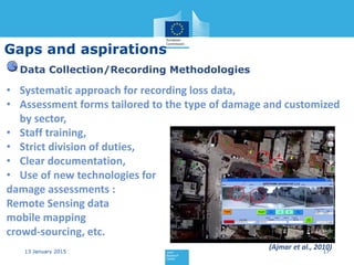 Current status and Best Practices for Disaster Loss Data recording in ...