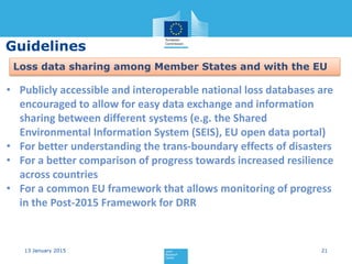 Current status and Best Practices for Disaster Loss Data recording in ...