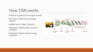 Detailed Patterns Cnn Your First Deep Learning project With CNN (workshop).pptx
