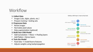 Your First Deep Learning project With CNN (workshop).pptx