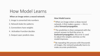 learn deep learning projects with javascript loading a... Your First Deep Learning project With CNN (workshop).pptx