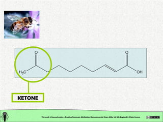 Organic Chemistry: Classification of Organic Compounds: Seminar | PPT