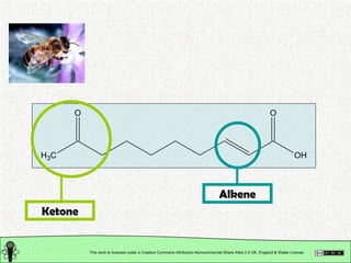 Organic Chemistry: Classification of Organic Compounds: Seminar Slide 18