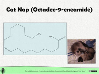 Organic Chemistry: Classification of Organic Compounds: Seminar Slide 35