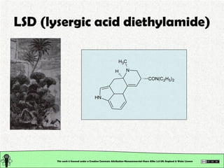 Organic Chemistry: Classification of Organic Compounds: Seminar Slide 43