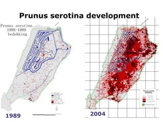 2004
1989 2004
Prunus serotina development
 