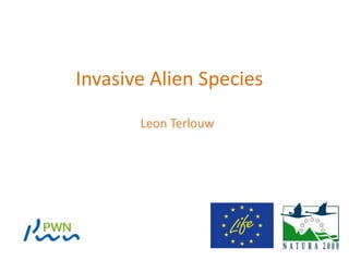Invasive Alien Species
Leon Terlouw
 