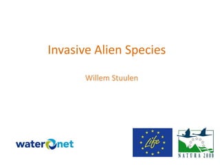 Invasive Alien Species
Willem Stuulen
 
