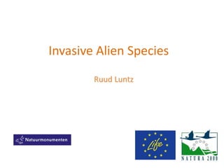 Invasive Alien Species
Ruud Luntz
 