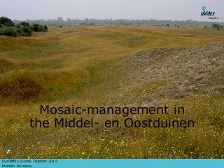 Mosaic-management in
the Middel- en Oostduinen
Dynamic Dunes Oktober 2015
Marten Annema
 
