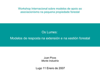 Workshop Internacional sobre modelos de apoio ao asociacionismo na pequena propiedade forestal Lugo 11 Enero de 2007 Juan Picos Monte Industria Os Lumes:  Modelos de resposta na extensión e na xestión forestal 