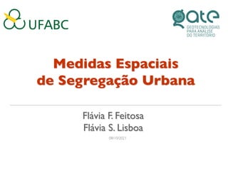 Medidas Espaciais
de Segregação Urbana
Flávia F. Feitosa
Flávia S. Lisboa
08/10/2021
 