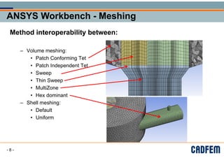 Multizone Meshing workshop-meshing-proces and different types).pdf