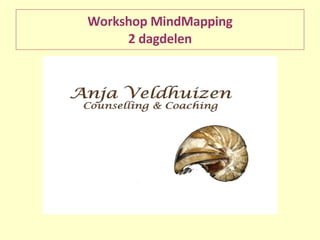 Workshop MindMapping 2 dagdelen 