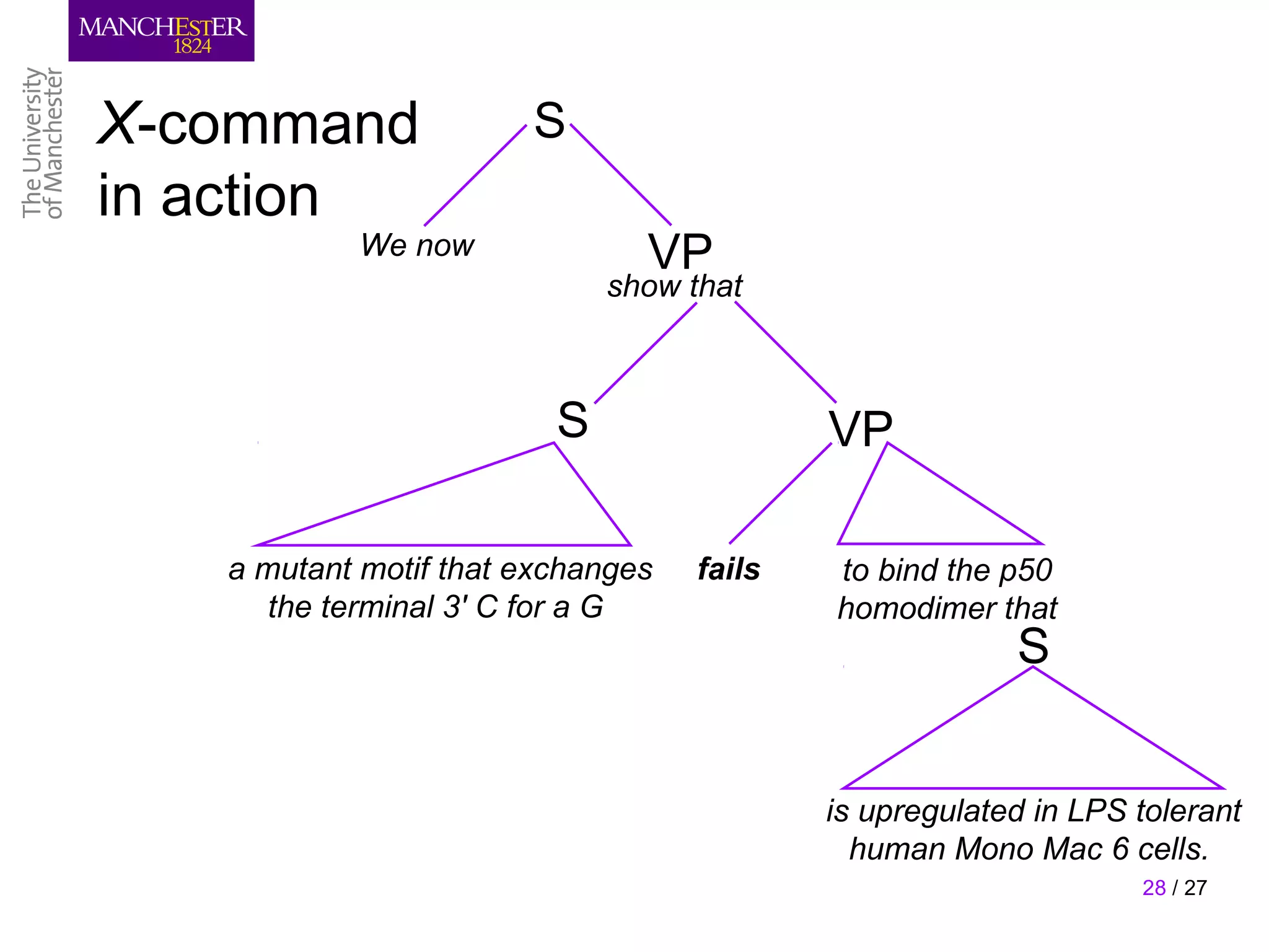X-command              S
in action
           We now              VP
                             show that



                         S                 VP

   a mutant motif that exchanges   fails   to bind the p50
      the terminal 3' C for a G            homodimer that
                                                        S


                                           is upregulated in LPS tolerant
                                             human Mono Mac 6 cells.
                                                                 28 / 27
 