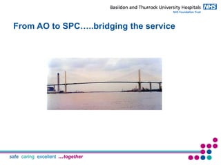 Palliative Care and Acute Oncology Integration | PDF