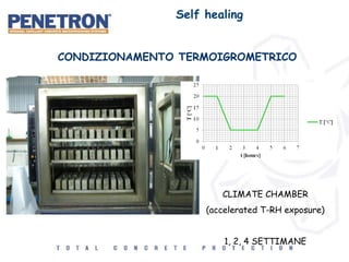 CONDIZIONAMENTO TERMOIGROMETRICO
CLIMATE CHAMBER
(accelerated T-RH exposure)
1, 2, 4 SETTIMANE
Self healing
 