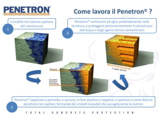 Come lavora il Penetron ?
L’umidità nel sistema capillare
del calcestruzzo
Penetron® (applicato a pennello, a spruzzo, in fase positiva o negativa, a spolvero o come Admix)
penetrerà nei capillari, formando dei cristalli insolubili che asciugheranno la matrice
Penetron® continuerà ad agire profondamente nella
struttura, e proteggerà permanentemente il calcestruzzo
dall’acqua e dagli agenti chimici contaminanti1
3
2
 