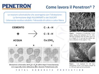 Come lavora il Penetron ?
Le reazioni schematiche che avvengono con l’idratazione:
La formazione degli ALLUMINATI e dei SILICATI
L’elemento residuo solubile: l’idrossido di calcio o calce libera
 