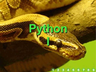 Python I 