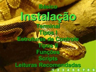 Básico Instalação Terminal Tipos I Estruturas de Controle Tipos II Funções Scripts Leituras Recomendadas 