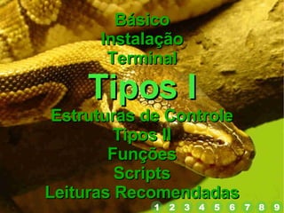 Básico Instalação Terminal Tipos I Estruturas de Controle Tipos II Funções Scripts Leituras Recomendadas 