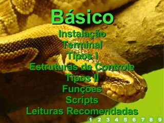 Básico Instalação Terminal Tipos I Estruturas de Controle Tipos II Funções Scripts Leituras Recomendadas 