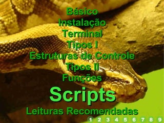 Básico Instalação Terminal Tipos I Estruturas de Controle Tipos II Funções Scripts Leituras Recomendadas 