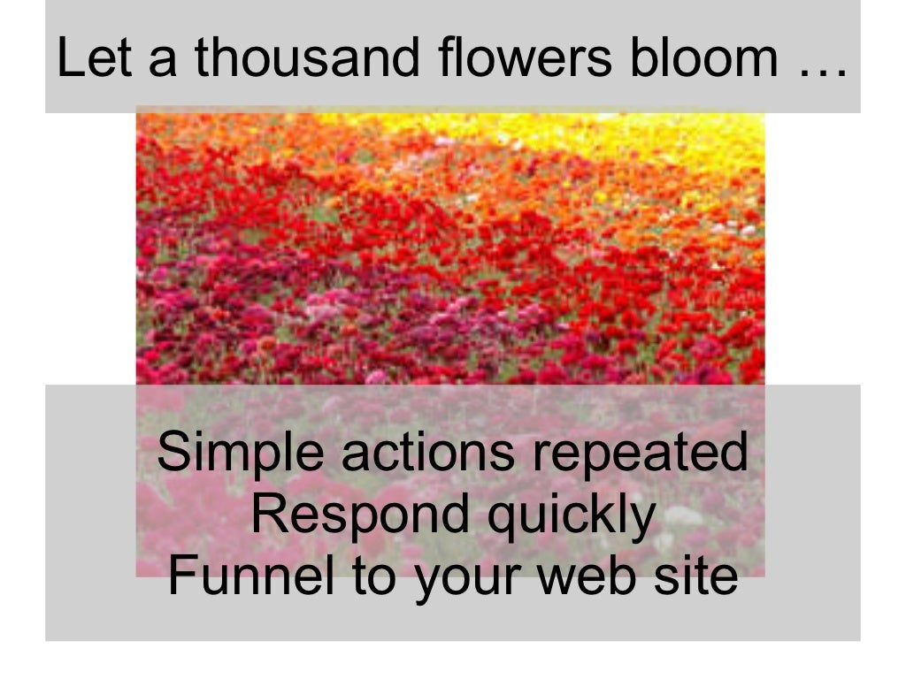 Let a thousand flowers bloom