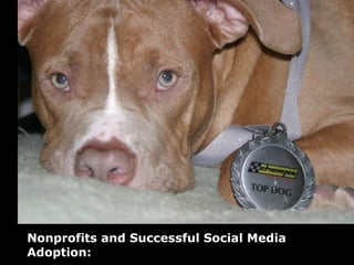 Nonprofits and Successful Social Media Adoption:  