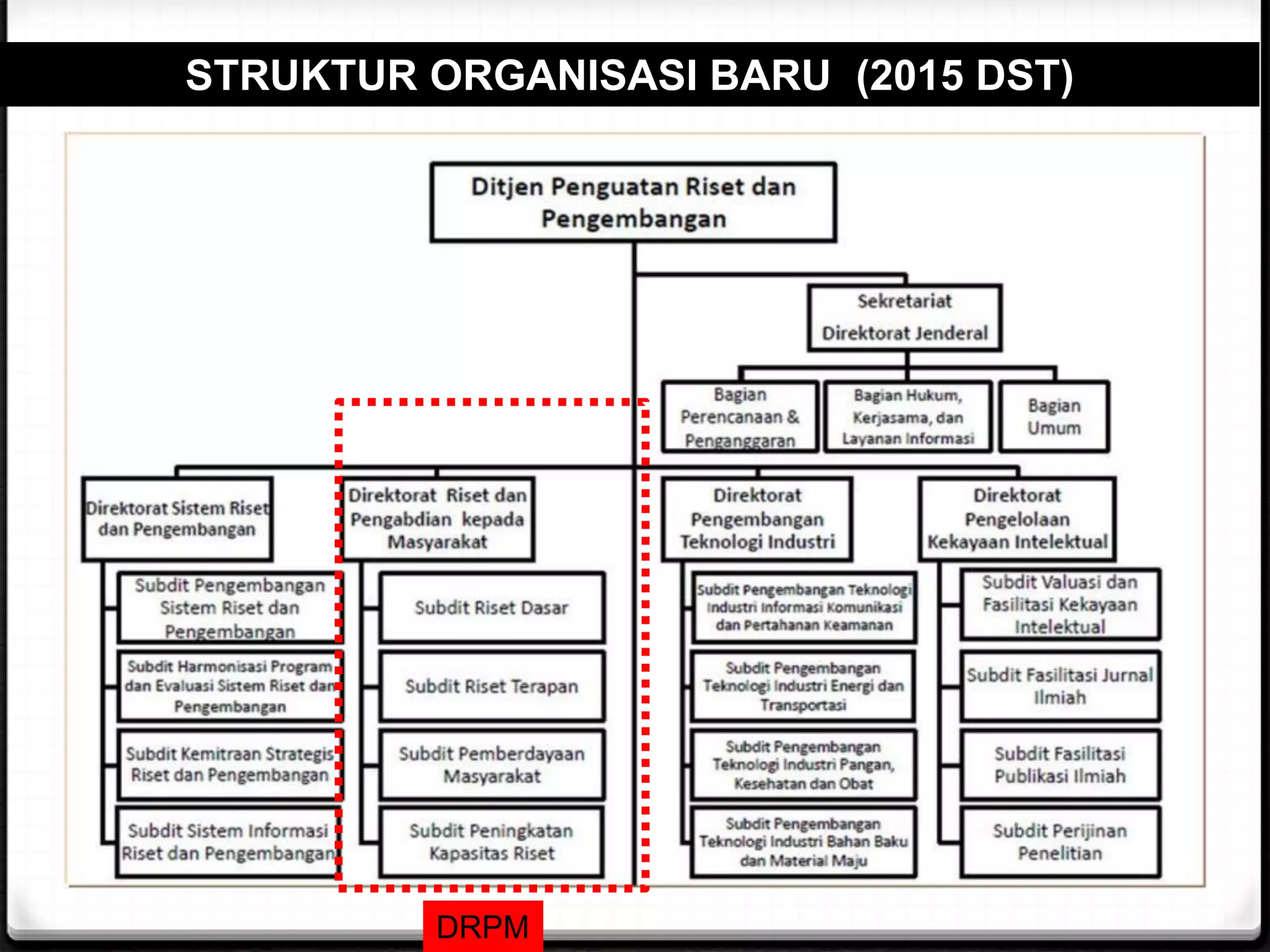 3
STRUKTUR ORGANISASI BARU (2015 DST)
DRPM
 