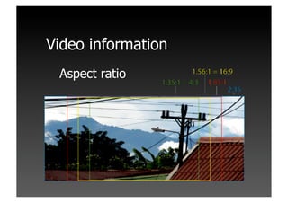 Workshop Videotechnica