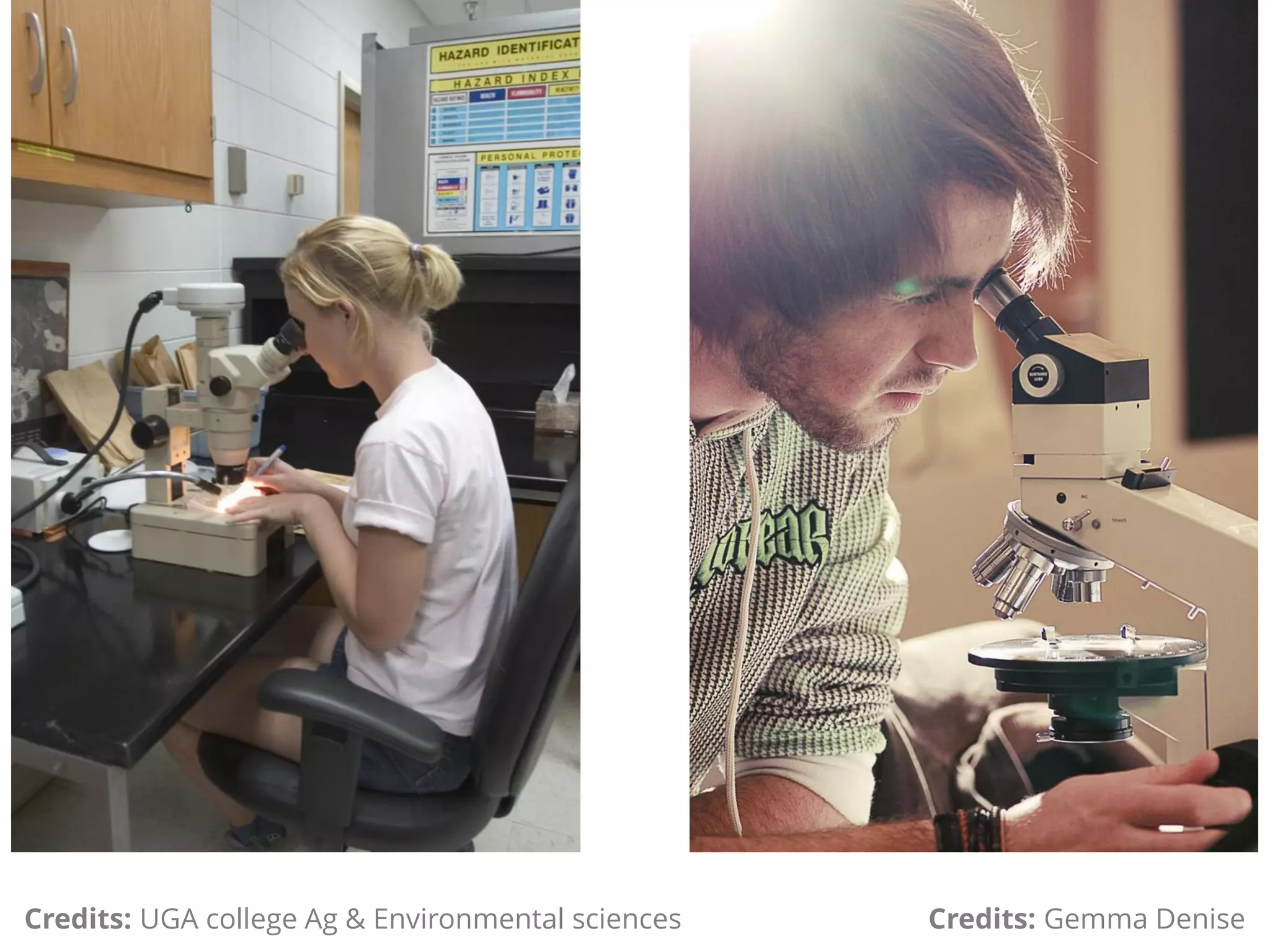 Credits: Gemma DeniseCredits: UGA college Ag & Environmental sciences
 