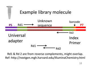 Example	
  library	
  molecule	
  	
  
Unknown	
  
sequence	
  Rd1	
  
Rd2	
  
barcode	
  
Universal	
  
adapter	
  	
  
Index	
  
Primer	
  
18	
  
Rd1	
  
Rd2	
  
Rd1	
  &	
  Rd	
  2	
  are	
  from	
  reverse	
  complements,	
  might	
  overlap.	
  	
  
Ref:	
  h7p://nextgen.mgh.harvard.edu/IlluminaChemistry.html	
  
P5	
   P7	
  
 