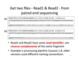 Get	
  two	
  ﬁles	
  -­‐	
  Read1	
  &	
  Read2	
  -­‐	
  from	
  
paired	
  end	
  sequencing	
  
•  Read1	
  and	
  Read2	
  have	
  same	
  read	
  iden$ﬁer,	
  are	
  
reverse	
  complements	
  of	
  the	
  same	
  fragment	
  	
  
•  Example	
  is	
  processing	
  pipeline	
  Cassava	
  1.8,	
  older	
  
versions	
  used	
  diﬀerent	
  naming	
  conven1ons	
  
@SN1083:379:H8VA1ADXX:2:1101:1248:2144 1:N:0:12!
CCTAAATGGTGCCATGCTAGGAGGCCGTGCCCTTCTTGAAAAGTTGTATGTGAA!
+!
BBBFFFFFFBFFFIIIIFI<FFIIIIIFIIIIFBFIIIIIIIIFFFIIIIFIII!
@SN1083:379:H8VA1ADXX:2:1101:1248:2144 2:N:0:12!
CATTTTCGACGTTGTTAATAAGCTCTGCGTACTTGCAAGCTATCTGCGCGAACG!
+!
BBBFFFFFFFFFFIIIIIIIIIIIIIIIIFIIIIIIIIIIIIIIIIIIIIIFFF!
24	
  
R1	
  
R2	
  
 