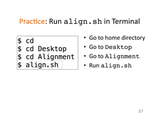 Prac1ce:	
  Run	
  align.sh	
  in	
  Terminal	
  
•  Go	
  to	
  home	
  directory	
  
•  Go	
  to	
  Desktop	
  	
  
•  Go	
  to	
  Alignment	
  	
  
•  Run	
  align.sh	
  	
  
37	
  
 