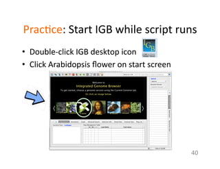 Prac1ce:	
  Start	
  IGB	
  while	
  script	
  runs	
  	
  
•  Double-­‐click	
  IGB	
  desktop	
  icon	
  
•  Click	
  Arabidopsis	
  ﬂower	
  on	
  start	
  screen	
  
40	
  
 