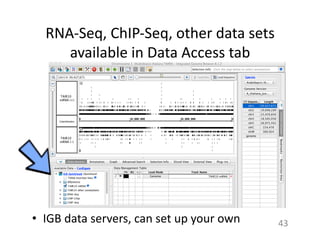 RNA-­‐Seq,	
  ChIP-­‐Seq,	
  other	
  data	
  sets	
  
available	
  in	
  Data	
  Access	
  tab	
  
•  IGB	
  data	
  servers,	
  can	
  set	
  up	
  your	
  own	
  	
   43	
  
 