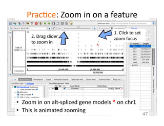 Prac1ce:	
  Zoom	
  in	
  on	
  a	
  feature	
  
•  Zoom	
  in	
  on	
  alt-­‐spliced	
  gene	
  models	
  *	
  on	
  chr1	
  
•  This	
  is	
  animated	
  zooming	
  
47	
  
1.	
  Click	
  to	
  set	
  
zoom	
  focus	
  2.	
  Drag	
  slider	
  
to	
  zoom	
  in	
  	
  
*	
  
 