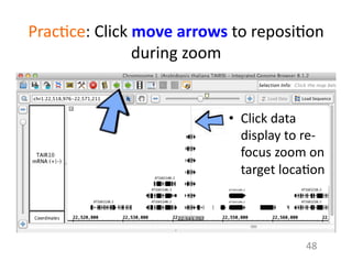 Prac1ce:	
  Click	
  move	
  arrows	
  to	
  reposi1on	
  
during	
  zoom	
  
•  Click	
  data	
  
display	
  to	
  re-­‐
focus	
  zoom	
  on	
  
target	
  loca1on	
  
48	
  
 