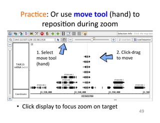 49	
  
Prac1ce:	
  Or	
  use	
  move	
  tool	
  (hand)	
  to	
  
reposi1on	
  during	
  zoom	
  
•  Click	
  display	
  to	
  focus	
  zoom	
  on	
  target	
  	
  
1.	
  Select	
  
move	
  tool	
  
(hand)	
  	
  	
  
2.	
  Click-­‐drag	
  
to	
  move	
  
 