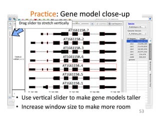 Prac1ce:	
  Gene	
  model	
  close-­‐up	
  
•  Use	
  ver1cal	
  slider	
  to	
  make	
  gene	
  models	
  taller	
  
•  Increase	
  window	
  size	
  to	
  make	
  more	
  room	
  
53	
  
Drag	
  slider	
  to	
  stretch	
  ver1cally	
  
 