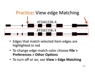 Prac1ce:	
  View	
  edge	
  Matching	
  
•  Edges	
  that	
  match	
  selected	
  item	
  edges	
  are	
  
highlighted	
  in	
  red	
  
•  To	
  change	
  edge-­‐match	
  color	
  choose	
  File	
  >	
  
Preferences	
  >	
  Other	
  Op$ons	
  
•  To	
  turn	
  oﬀ	
  or	
  on,	
  see	
  View	
  >	
  Edge	
  Matching	
  	
  
55	
  
 